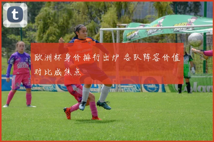 欧洲杯身价排行出炉 各队阵容价值对比成焦点