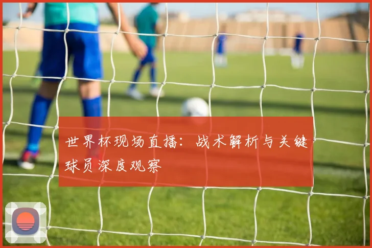 世界杯现场直播：战术解析与关键球员深度观察
